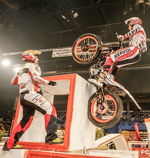 toni bou nice xtrial preview story