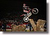 IMG_6768.JPG