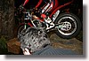 IMG_6784.JPG