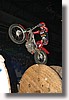IMG_6900.JPG