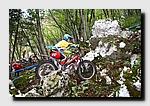 IMG_8228.jpg