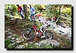 IMG_8004.jpg