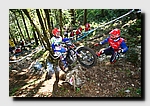IMG_7851.jpg
