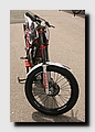 TC1_9558.JPG