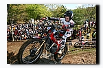 G2F16418.jpg