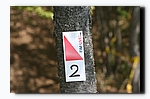 G2F24774.jpg
