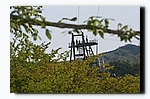 G2F24788.jpg