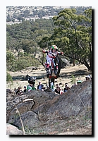 G2F20113.jpg