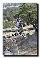 G2F20132.jpg
