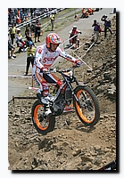G2F20808.jpg